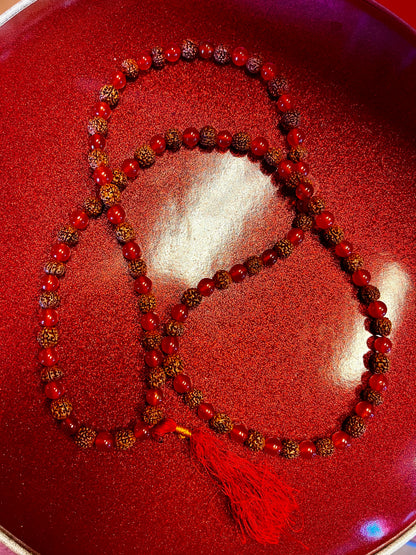 Rudraksha/red carnelian mala (prayer beads) For Japa